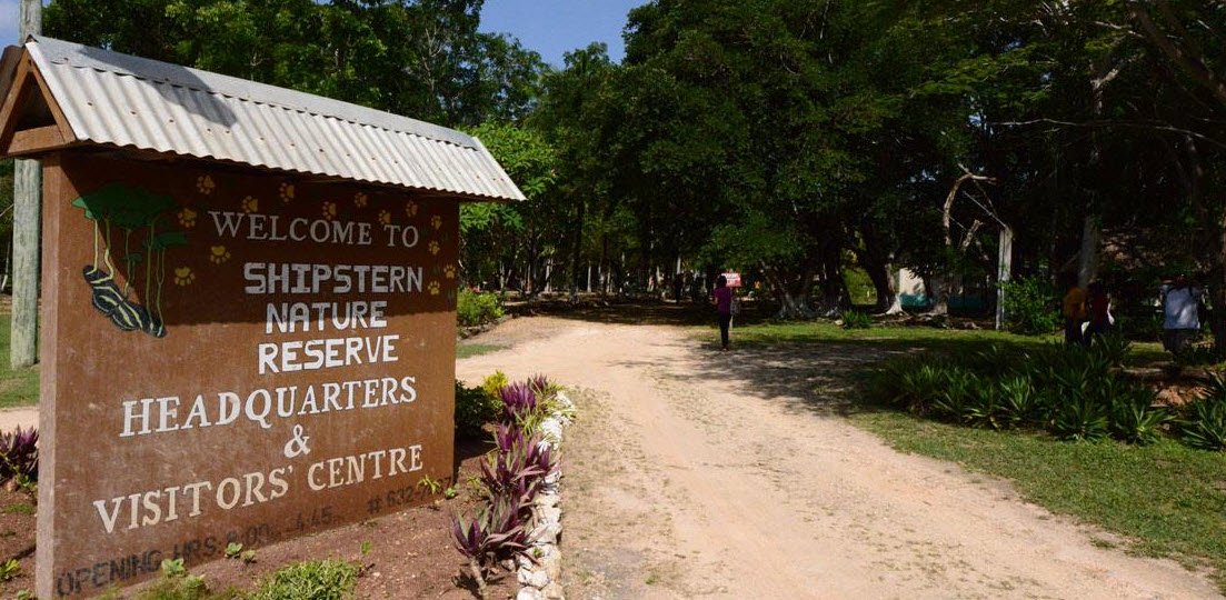Shipstern Conservation &amp; Management Area, Corozal District, Belize